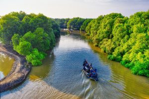 Deep Into The Al Thakira Mangrove Forest